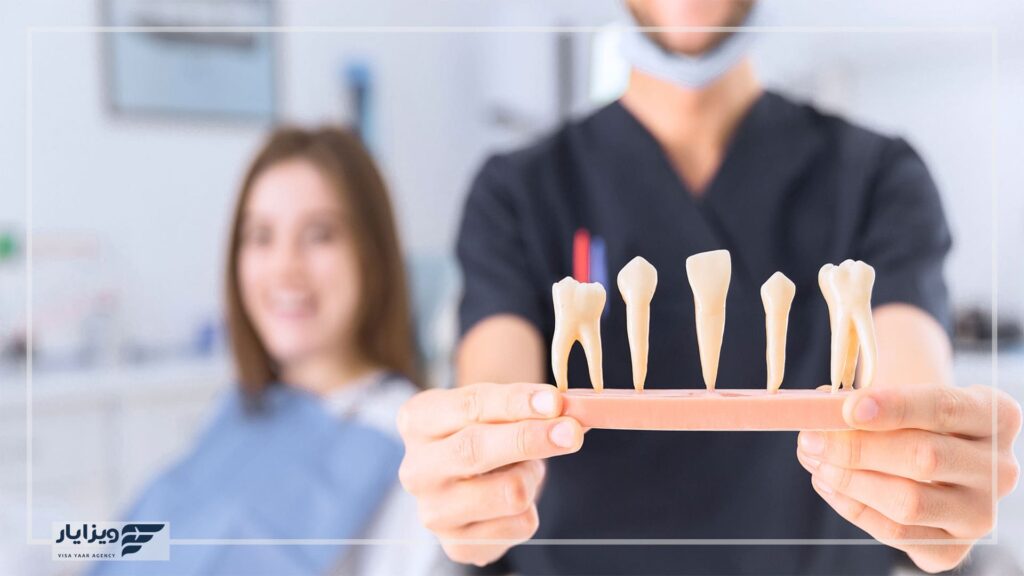 تحصیل دندانپزشکی در ایتالیا- عکس بنر