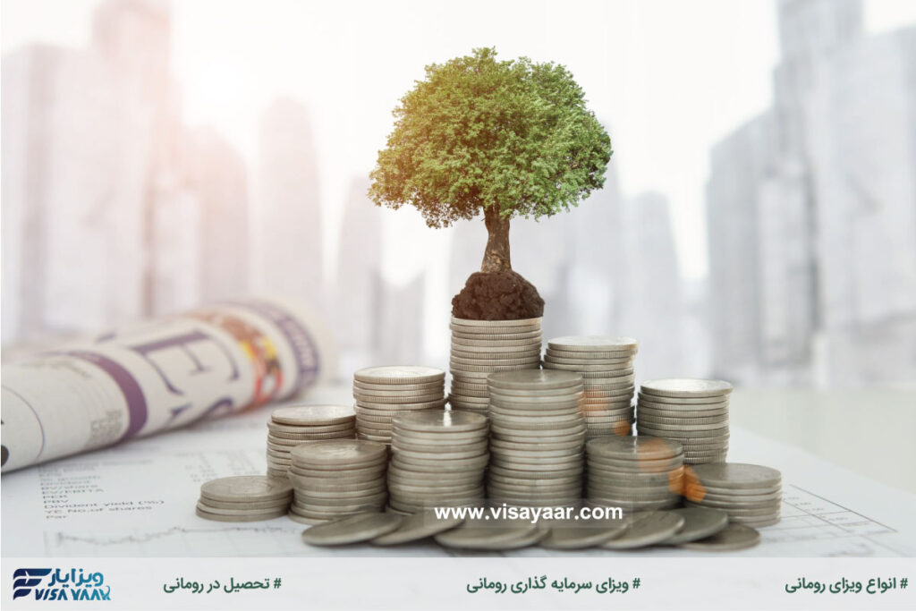 ویزای سرمایه گذاری رومانی، دروازه ورود به دنیایی از فرصت‌ها